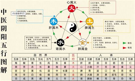 五行圖表|史上最全五行對應表，有圖解，一看就懂，收藏！